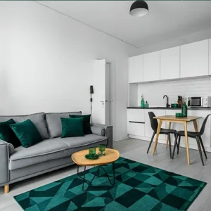 Desain interior apartemen studio minimalis modern dengan sentuhan warna emerald-splusa.id