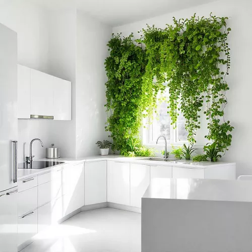 Dapur Mungil Minimalis Serba Putih dengan Taman Vertikal-kontraktor interior splusa.id Dapur Mungil Minimalis Serba Putih dengan Taman Vertikal-kontraktor interior splusa.id