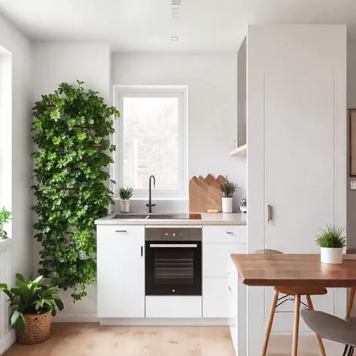 Dapur Mungil Minimalis dengan Vertical Garden-kontraktor interior splusa.id Dapur Mungil Minimalis dengan Vertical Garden-kontraktor interior splusa.id